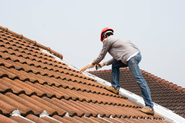 Best Emergency Roof Repair Services  in Knox, PA